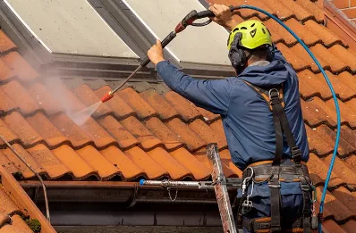 Démoussage et hydrofuge de toiture à Laymont